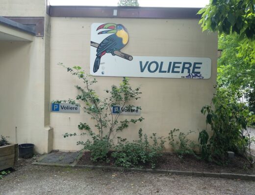 Voliere Zürich